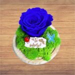 Trandafir Conservat Mesaj Te Iubesc 16x12cm Af007 1