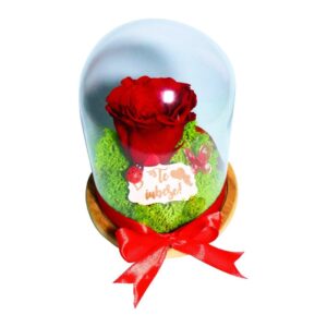 Trandafir Etern Mesaj Te Iubesc 16x12cm Af008 2