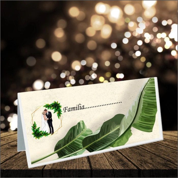 Plic Bani Nunta, Carton, Verde, Exotic, PN20 - imagine 5