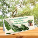 Plic Bani Nunta, Carton, Verde, Exotic, PN20 - imagine 4
