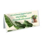 Plic Bani Nunta, Carton, Verde, Exotic, PN20