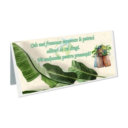 Plic Bani Nunta, Carton, Verde, Exotic, PN20