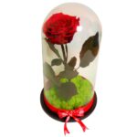 Trandafir Criogenat in Cupola, Rosu, Licheni, 25x10 cm, DL080 - imagine 3