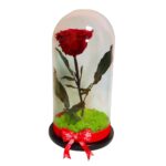 Trandafir Criogenat in Cupola, Rosu, Licheni, 25x10 cm, DL080 - imagine 4