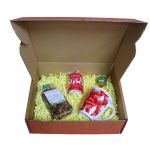 Set cadou Craciun 4 piese, Ceai, Lumanare, Cana, Miere, 32,5x25,5x10,5 cm, SCC002