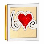 cutie aranjamente licheni