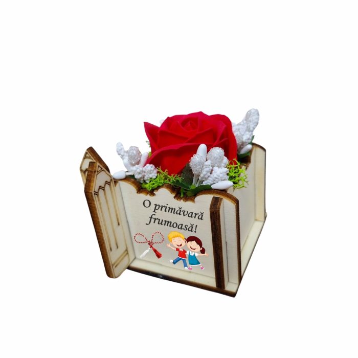 Martisor in Cutie, Trandafir de Sapun, Licheni, 1 Martie, Profesoara, Educatoare, 7x7x6 cm, Rosu, CMUV029 - imagine 4