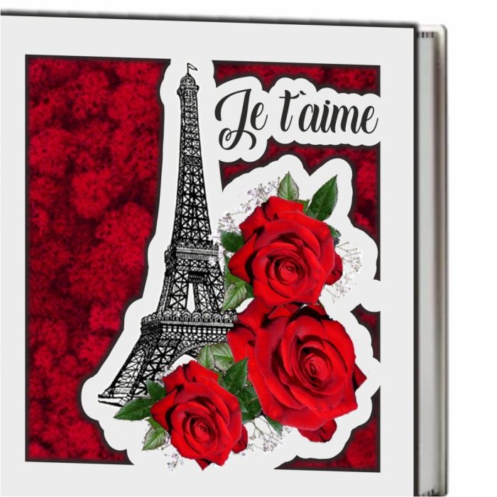 Cutie Aranjament Licheni Stabilizati, Turnul Eiffel, Rosu, DL099 - imagine 3
