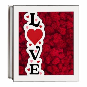 Aranjament Licheni Cutie Mesaj Love Rosu Dl096