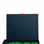 Cutie Cadou Binecuvantarea casei, Licheni, Verde, 23x23 cm, CLBUV001 - imagine 4