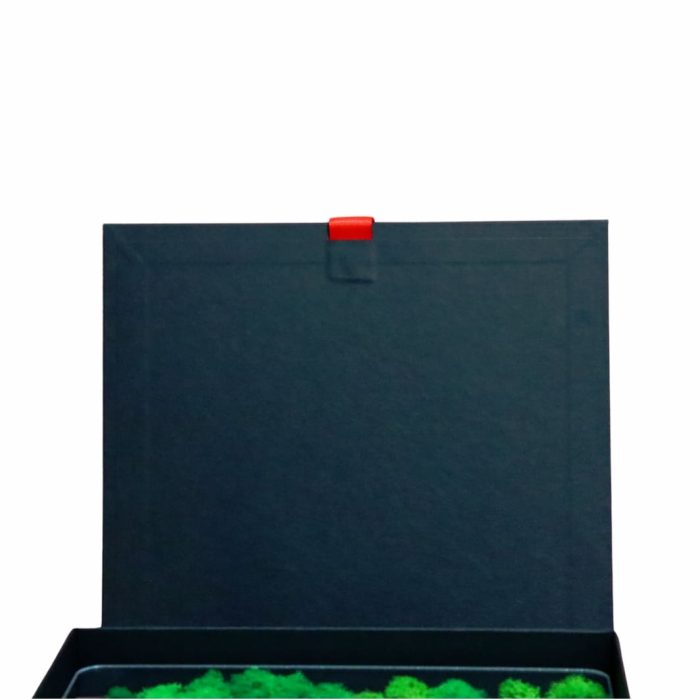 Cutie Cadou Binecuvantarea casei, Licheni, Verde, 23x23 cm, CLBUV001 - imagine 4