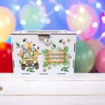 cutie dar botez safari