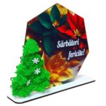 Decoratiune cu licheni, Sarbatori, Craciun, Lemn, 22x16cm, DCCRUV023 - imagine 3