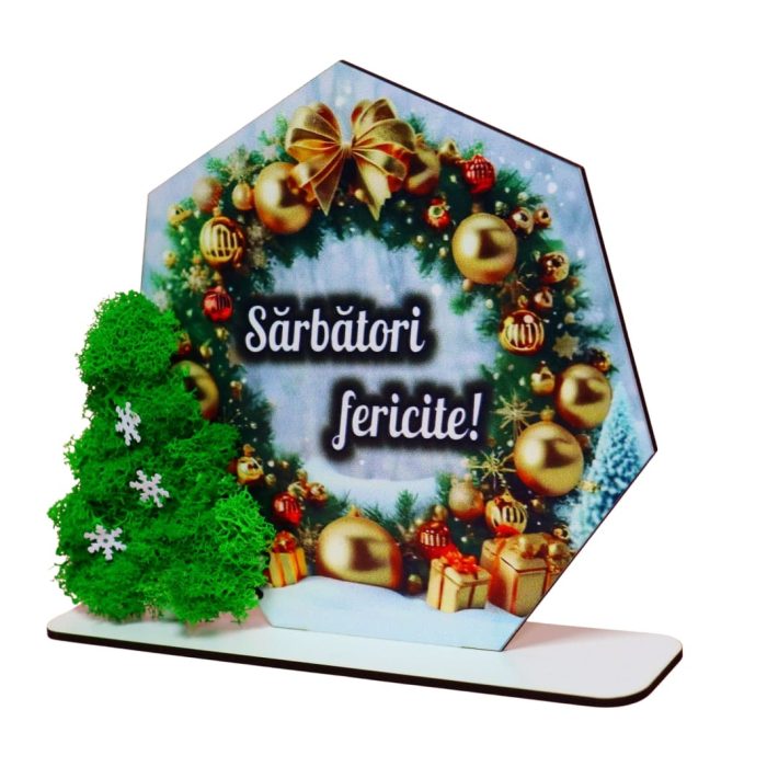 Decoratiune cu licheni, Sarbatori, Craciun, Lemn, 22x16cm, DCCRUV024 - imagine 4