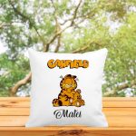 Perna personalizata cu nume, Gradinita, Garfield, 40x40 cm, PGR060 - imagine 3