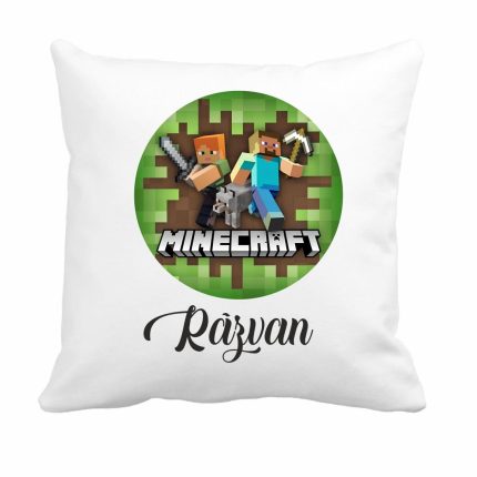Perna personalizata cu nume, Gradinita, Minecraft, 40x40 cm, PGR062