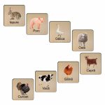 Set 16 Carduri Stimulare Vizuala, Lemn, 11x11cm, JMC003 - imagine 3
