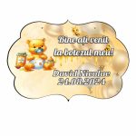 Pancarta Bine Ati Venit, Personalizata, Botez, Winnie The Pooh, 40x31cm, PBBUV003 - imagine 3