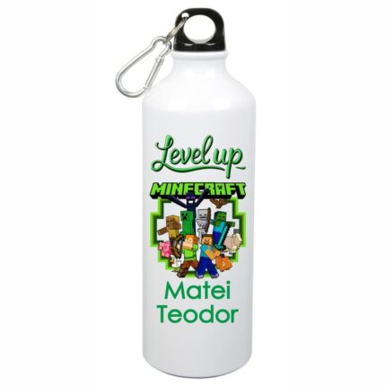 Sticla de Apa, Personalizata, Minecraft, 500ml, BGC016