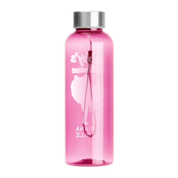 Sticla de Apa, Personalizata, Gabby's Dollhouse, 500ml, BSC040 - imagine 3