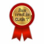 Insigne Personalizate, Scoala, Lemn, Albastru, 6x4 cm, ISC008