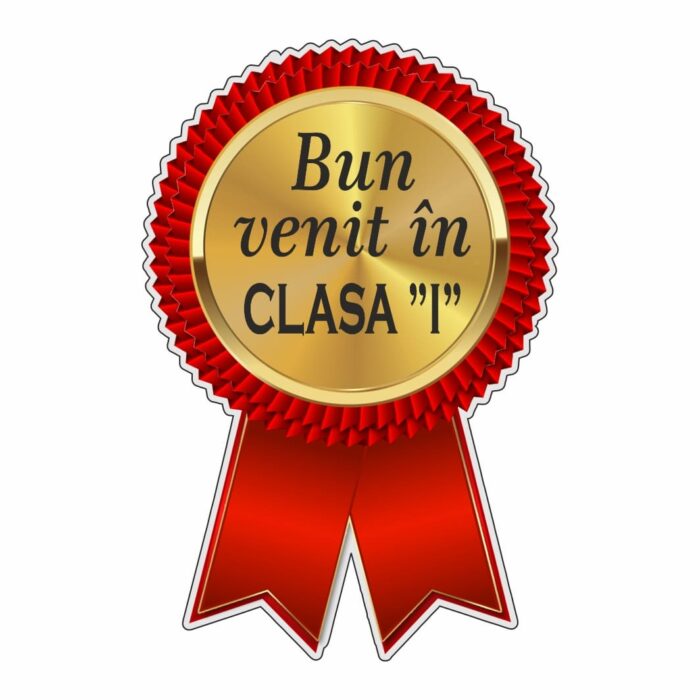 Insigne Personalizate, Scoala, Lemn, Albastru, 6x4 cm, ISC008 - imagine 1