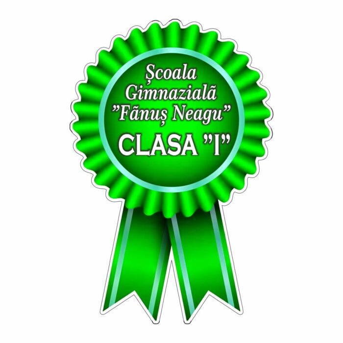 Insigne Personalizate, Scoala, Lemn, Albastru, 6x4 cm, ISC009 - imagine 1