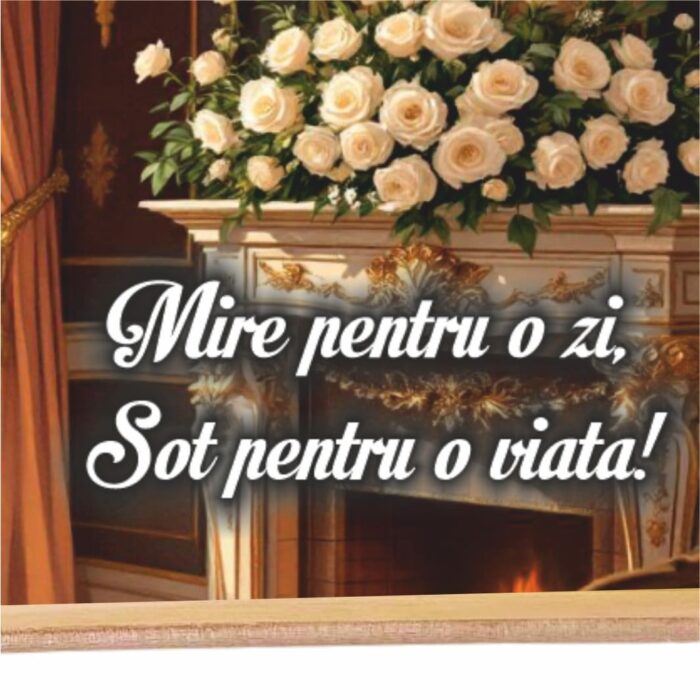 Set gatit mire clasic