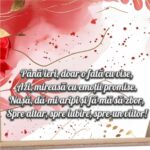 Set gatit mireasa rosu