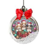 glob craciun catei craciun principala