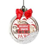 glob craciun pisicute craciun principala