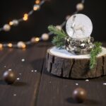 glob de zapada craciun cerb lateral