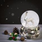 glob de zapada craciun cerb secundara