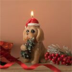 lumanare craciun catel brad secundara