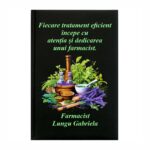 Agenda personalizata, Farmacist, A5, Negru, AGF001
